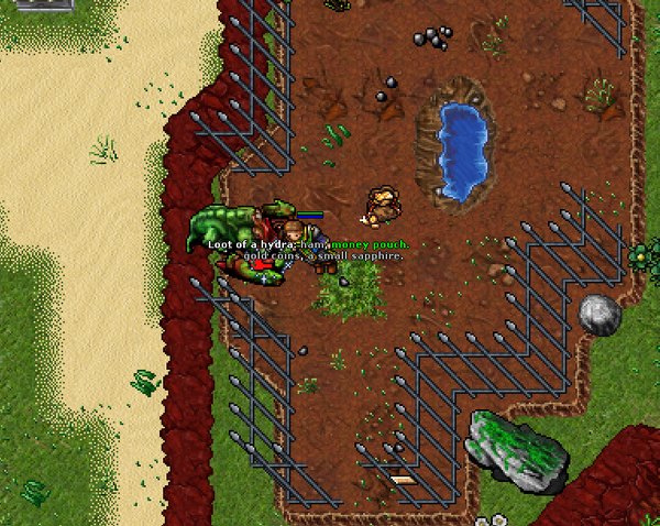 Money Pouch no loot de uma hydra